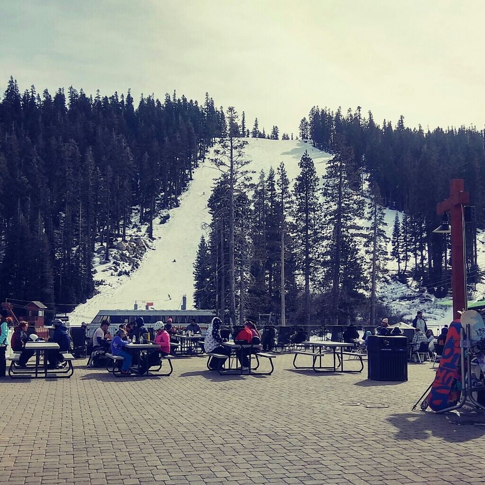 Meet your Posher, Daria